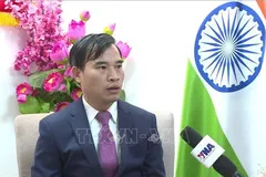 Tham tán Thương mại Việt Nam tại Ấn Độ Bùi Trung Thướng. Ảnh tư liệu: TTXVN