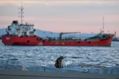 Tàu neo trên biển Marmara nối với Biển Đen, ngoài khơi thành phố Istanbul, Thổ Nhĩ Kỳ, ngày 25-11-2025. Ảnh: THX/TTXVN