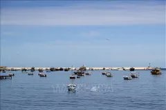 Tàu thuyền neo đậu trên vùng biển Địa Trung Hải ngoài khơi thành phố Alexandria, Ai Cập. Ảnh: THX/TTXVN