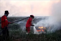 Lính cứu hỏa dập đám cháy đất tại tỉnh Nam Sumatra, Indonesia. Ảnh: THX/TTXVN