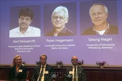 Chân dung các nhà khoa học (từ trái sang) đoạt giải Nobel Y Sinh 2026 Karl Deisseroth (Mỹ), Peter Hegemann và Georg Nagel (Đức) vì những phát hiện liên quan đến công nghệ quang di truyền học. Ảnh: AA/TTXVN phát