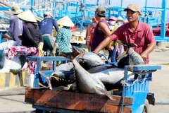 Lợi thế biển và nỗi niềm chưa giàu từ biển