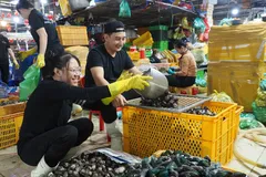 Không khí tết rộn ràng tại các chợ đầu mối TPHCM 