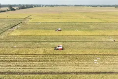 Chiến sự Trung Đông khiến giá phân bón tăng hơn 30%