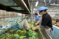 Làm chủ công nghệ để nâng cao giá trị nông sản