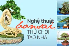 Nghệ thuật bonsai thú chơi tao nhã