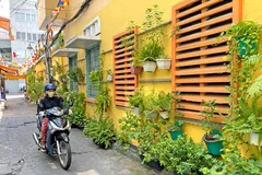 Bức tường xanh sống động giữa lòng thành phố tại hẻm 80 đường Cao Thắng, quận 3, TPHCM. Ảnh: Hoàng Hùng