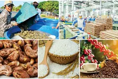 Với giá trị xuất siêu khoảng 21 tỷ USD, ngành nông nghiệp đã tiếp tục khẳng định vai trò trụ đỡ của nền kinh tế .