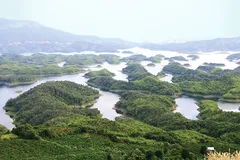 Vườn quốc gia Tà Đùng.