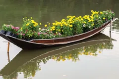 Sông chở Tết về