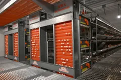 Dây chuyền sản xuất trứng sạch tại Công ty Cổ phần Mebifarm. Ảnh: MINH XUÂN