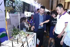 Đà Nẵng đã thành lập Hội đồng điều phối mạng lưới khởi nghiệp thành phố, quy tụ đa đạng và rộng khắp các thành viên cùng nhiều nguồn lực nhằm phân phối