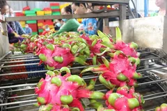 TPHCM: Chuyển đổi từ tư duy sản xuất sang kinh tế nông nghiệp hiện đại