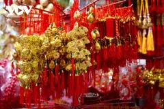 Đường Hải Thượng Lãn Ông rực rỡ sắc màu Tết