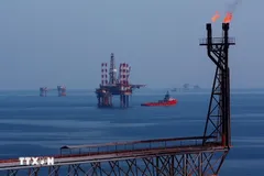 Các giàn khoan trên mỏ Bạch Hổ. (Ảnh: Huy Hùng/TTXVN) 