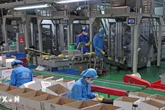 Đại hội XIV của Đảng: Mở ra không gian phát triển cho kinh tế tư nhân