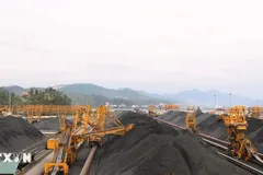 Tái định vị kinh tế nhà nước là 'người dẫn dắt'