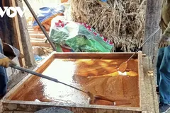 Cứ 100 kg mía sẽ thu được 20 - 30 kg đường phên thành phẩm