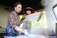 Công việc tráng bánh thuê mang lại thu nhập khá cho nhiều phụ nữ tại địa phương. (Ảnh: Lê Thúy Hằng/TTXVN)