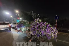 Những xe hoa hướng về chợ Quảng An phục vụ người dân trong dịp Tết. Ảnh: Nguyễn Cúc-TTXVN