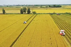 Ngành nông nghiệp hướng tới mốc xuất khẩu 100 tỷ USD