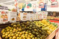 Nhu cầu mua các loại trái cây dùng để thắp hương và bày mâm ngũ quả ngày Tết tăng đột biến tại nhiều địa phương. (Ảnh: Vietnam+)