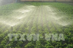 Việt Nam sẵn sàng vận hành thị trường carbon