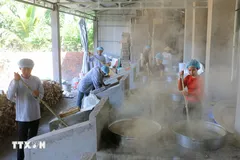 Nghề làm đường thốt nốt của đồng bào dân tộc thiểu số Khmer tỉnh An Giang được công nhận là Di sản Văn hóa phi Vật thể quốc gia năm 2024. (Ảnh: Công Mạo/TTXVN)