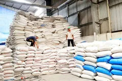 Kho gạo xuất khẩu tại Công ty Trách nhiệm hữu hạn Dương Vũ. (Ảnh: Hồng Đạt/TTXVN)