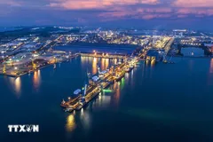 Cảng tổng hợp Công ty cổ phần Hòa Phát Dung Quất nằm trong khu kinh tế Dung Quất. (Ảnh: TTXVN phát)