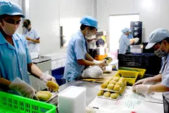 Củng cố nền tảng nội sinh để gia tăng sức chống chịu nền kinh tế