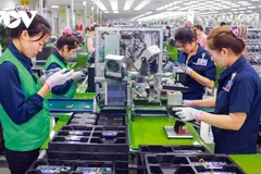 Nền kinh tế Việt Nam đang hội nhập tích cực và hiệu quả với kinh tế toàn cầu