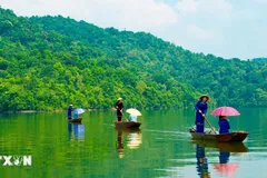 1.900 tỷ đồng để bảo tồn, quản lý rừng bền vững