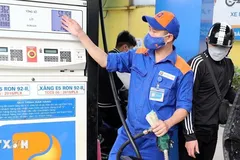 Việt Nam cần kết hợp an ninh năng lượng và chuyển đổi năng lượng