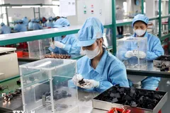 Dây chuyền sản xuất linh kiện điện tử xuất khẩu. (Ảnh: Phạm Hậu/TTXVN)