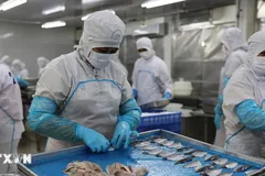 Doanh nghiệp thủy sản TPHCM chủ động thích ứng với biến động thị trường