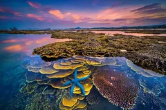 Công viên địa chất Phú Yên trình UNESCO công nhận là công viên địa chất toàn cầu