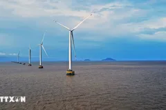 Điện gió Cà Mau. (Ảnh: Huỳnh Anh/TTXVN)