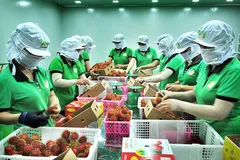 Giữ nhịp xuất khẩu tạo đà cho mục tiêu tăng trưởng kinh tế