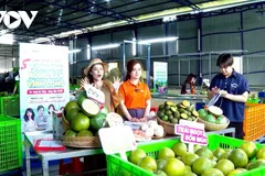 Nghịch lý 84% hộ kinh doanh vẫn 'sợ' lớn