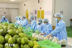 Doanh nghiệp nâng tầm năng lực mới cạnh tranh quốc tế