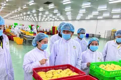 Xuất khẩu nông, lâm, thủy sản theo hướng an toàn, chất lượng, bền vững