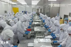 Thủy sản Việt Nam trước bài toán giữ thị phần thị trường Hoa Kỳ