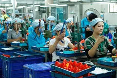 Mỗi tháng cả nước có hơn 28.300 doanh nghiệp mới 