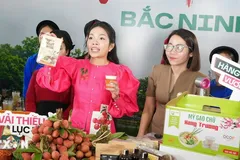 Quảng bá trực tuyến sản phẩm vải thiều và các nông sản chủ lực, đặc trưng OCOP của tỉnh Bắc Ninh. (Ảnh: Đồng Thúy/TTXVN) 