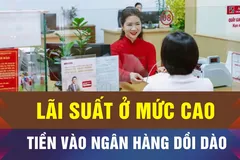 Kênh tín dụng đang hút dòng tiền rất lớn