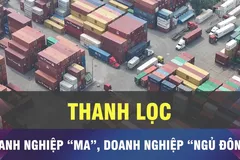 Chiến dịch làm sạch mã số thuế đã thanh lọc doanh nghiệp