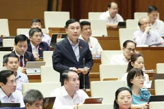 ĐB Lê Hoàng Anh (Gia Lai) phát biểu tại hội trường, sáng 21-4. Ảnh: QUANG PHÚC