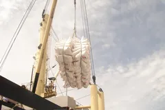 Tiếp cận thị trường xuất khẩu, từ ứng phó sang thích ứng