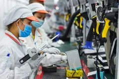 Điều phối dữ liệu trong chuyển hóa quốc gia